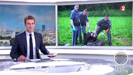 État de New York : la cavale des deux évadés est terminée