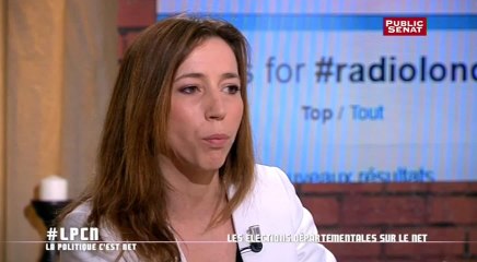 La politique c'est net - Les élections départementales sur le Net (03/04/2015)