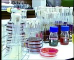 Técnicas Básicas en el Laboratorio de Microbiología. Preparación de Medios de Cultivo