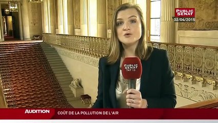 Audition de Doris Nicklaus par la comission d'enquête sur le coût de la pollution de l'air - Audition