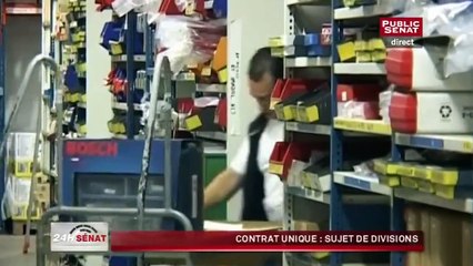 Contrat de travail unique : sujet de divisions