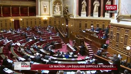 Loi Macron : Quel équilibre après plus de 480 amendements ?