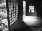 Corridors of Echoes (Experimental Japanese Ghost Film)
