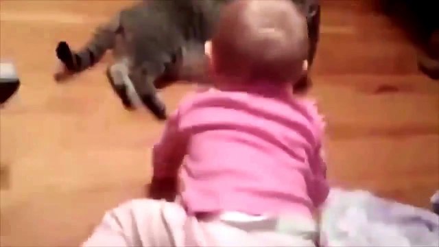 Vidéos Droles De Bébés Funniest vidéo 2015,Vidéos Droles