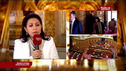 Pollution : au-delà de « l’aberration sanitaire », la sénatrice écologiste, Leila Aïchi dénonce « l’aberration économique»