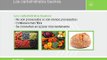 0302 Programa de Nutrición Herbalife - Carbohidratos Buenos y Carbohidratos Malos