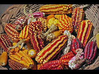 THANKS OF GREAT ALLAH VIDEO 3