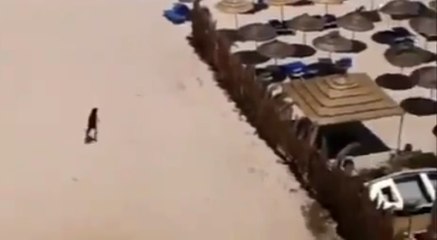 Attentat en Tunisie : le suspect filmé sur la plage après l'attaque