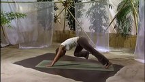 Yogaist.de - Der Hund - Adho-Mukha-Svanasana - DVD Yoga für Körper, Geist & Seele mit Inga Stendel