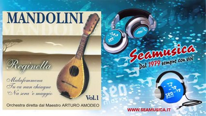 Orchestra Maestro Arturo Amodeo    Nun e' peccato