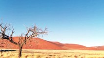 Duin 45 , dune 45 ,Sossusvlei Namibie Duin 45, dune 45, 360° panorama