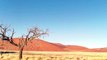 Duin 45 , dune 45 ,Sossusvlei Namibie Duin 45, dune 45, 360° panorama