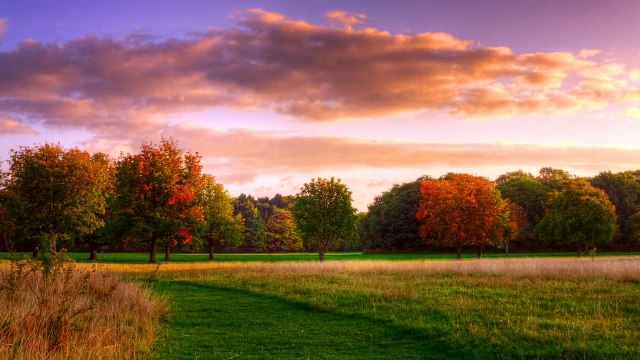 Vol 3: ♪ Relaxing Instrumental Music ♫ Beautiful Chinese Music ♥ Enjoy the peace of mind ♥