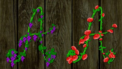 After Effects Project Files - Font Vine - VideoHive 9569155