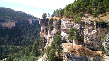 Corrientes térmicas son aprovechadas por buitres leonados, surcando los riscos en Uña (Cuenca).