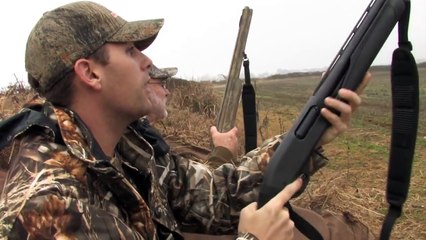 Specklebelly Goose Hunting on the Arkansas Grand Prairie