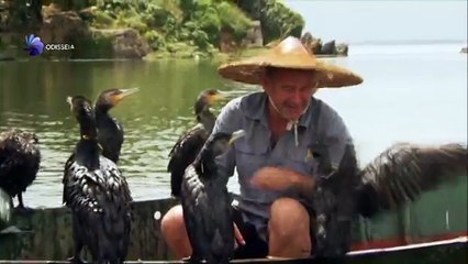 A China Selvagem: O Reino dos animais