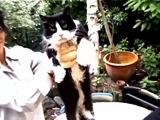 Feu Robert de l'atelier Nous Travaillons Ensemble