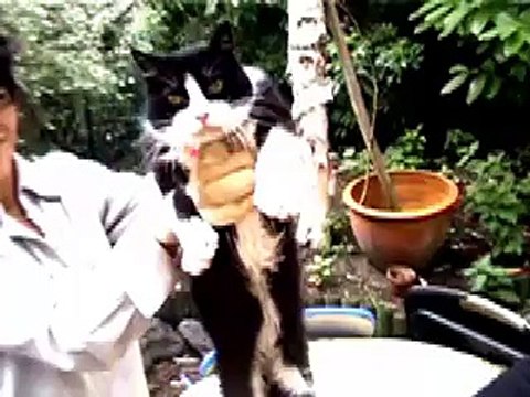 Feu Robert de l'atelier Nous Travaillons Ensemble