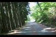 林間サイクリング
