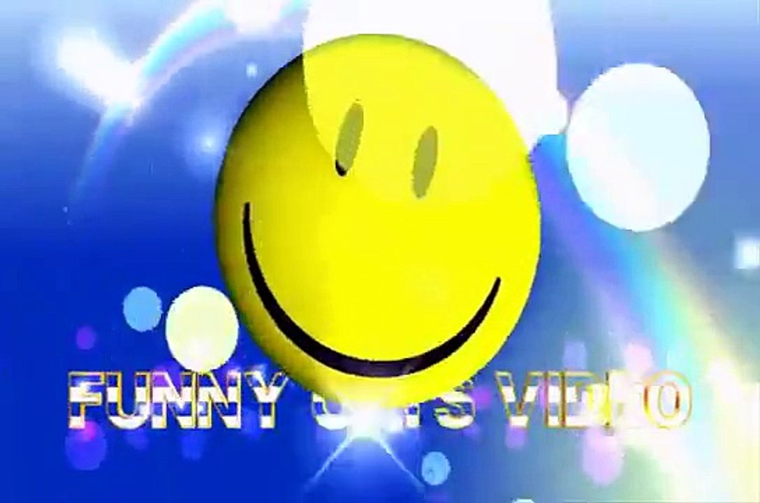 Funny Cats- Funny Cats Video Best Funny Cats - Cats and Catnip   Funny!