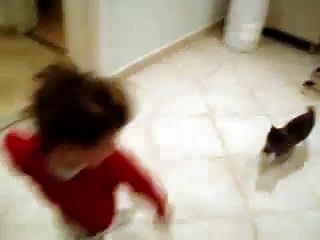 Funny cat chases and rugby tackles boy