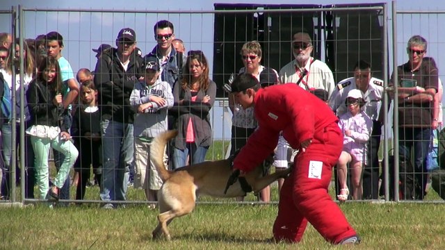 Journées portes-ouvertes à Lanvéoc-Poulmic