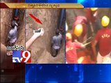 5 year old girl slips into borewell, dies in Patna