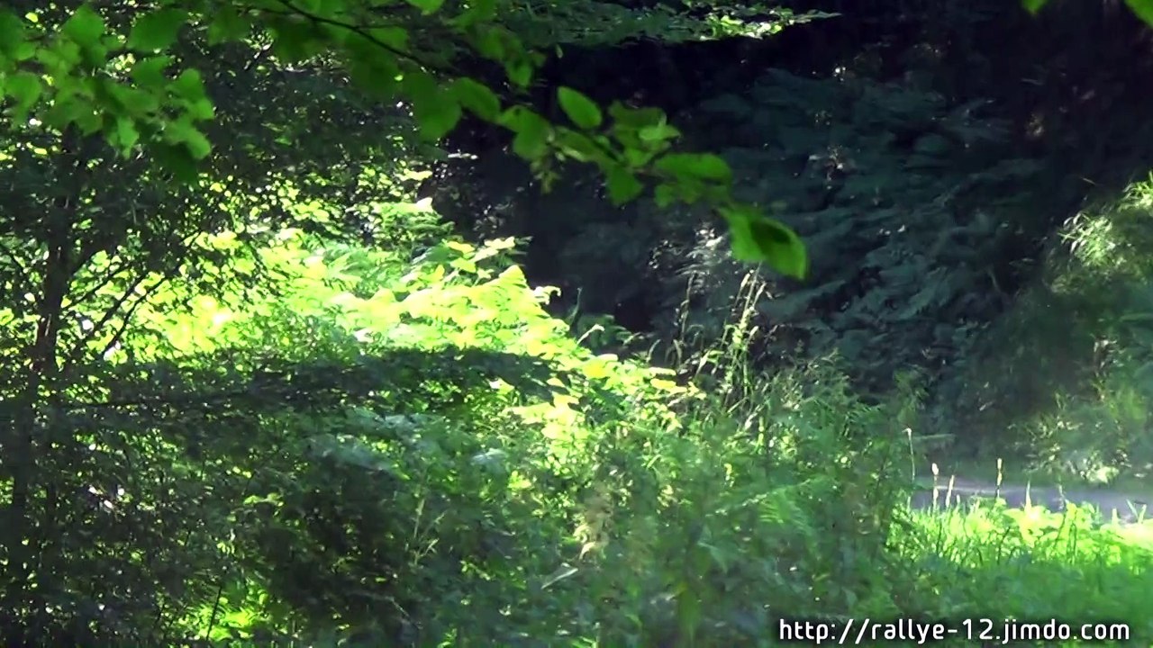 rallye des 3 chateaux 2015 montagne rallye12 CHARLAIX/DECOUZON