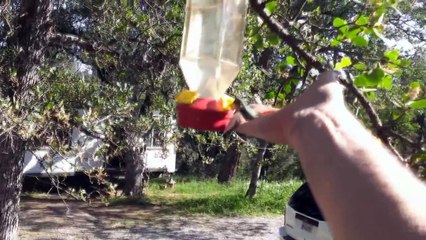 Aider un petit colibris piégé dans un réservoir d'eau