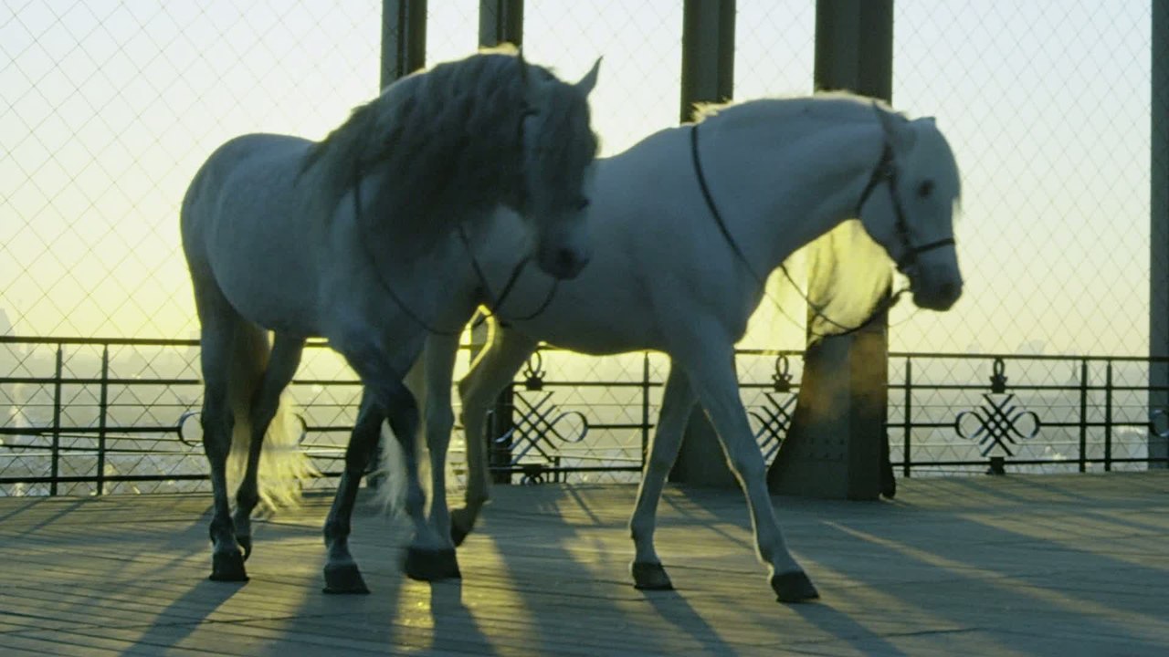 Le making of de l'affiche du Longines Paris Eiffel Jumping