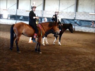 Carrousel en cordelette à cru~Equifeel