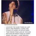 Louis Tomlinson & Harry Styles OTRA Tour - Larry Stylinson Proof