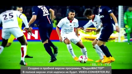 Zlatan Ibrahimovic ● Amazing Skills Show (adik)