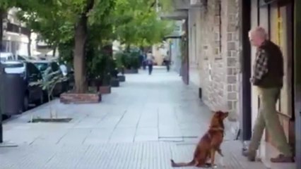 ''Become and organ donor'' - Emotional Commercial With Dog - ''The man and the dog''