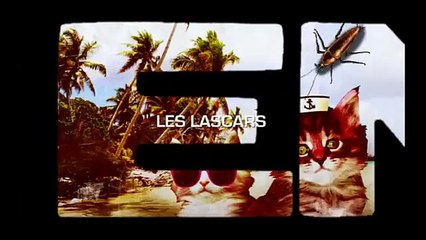 Vivre ensemble vu par Axelle Laffont - Je ne suis pas raciste mais...