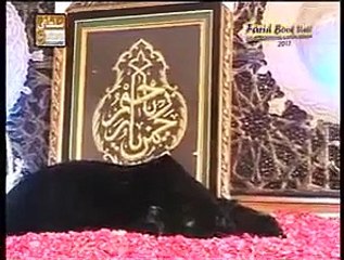 Chamak Tujh Se By Sarwar Hussain Naqshbandi