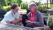 The Old Vicarage - Cinnamon Trust Pet Friendly Awards 2013: Care Homes