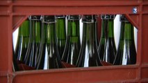 St Aignan sur Ry (76) : un producteur de cidre s'élève contre une taxe