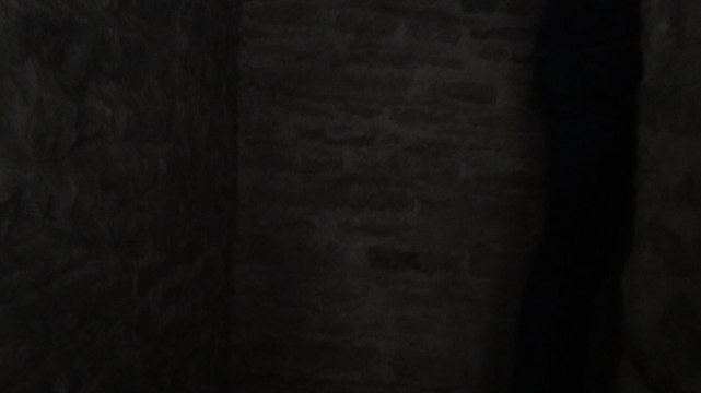 Les trois cloches de Sainte-Croix sonnent de nouveau