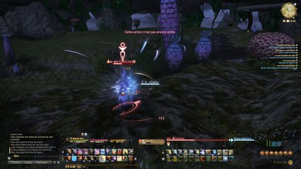 Final Fantasy XIV - Quoi faire au niveau 60 ?