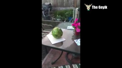 Karpuzu Kılıçla Kesmek İsteyen Ali'nin Hazin Sonu