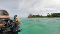 US military shipwrecks in Bay Of Pigs, Cuba. Scuba Diving with GoPro