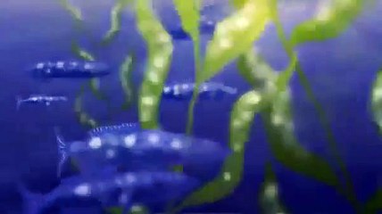 Bonnie's Tale - Richard Briers narrates this moving short film about seals