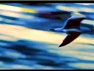 Nice bangla song,tomai dilam,latest bengali music 2015,full hd