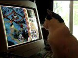 Molly plays Heroes of Might & Magic