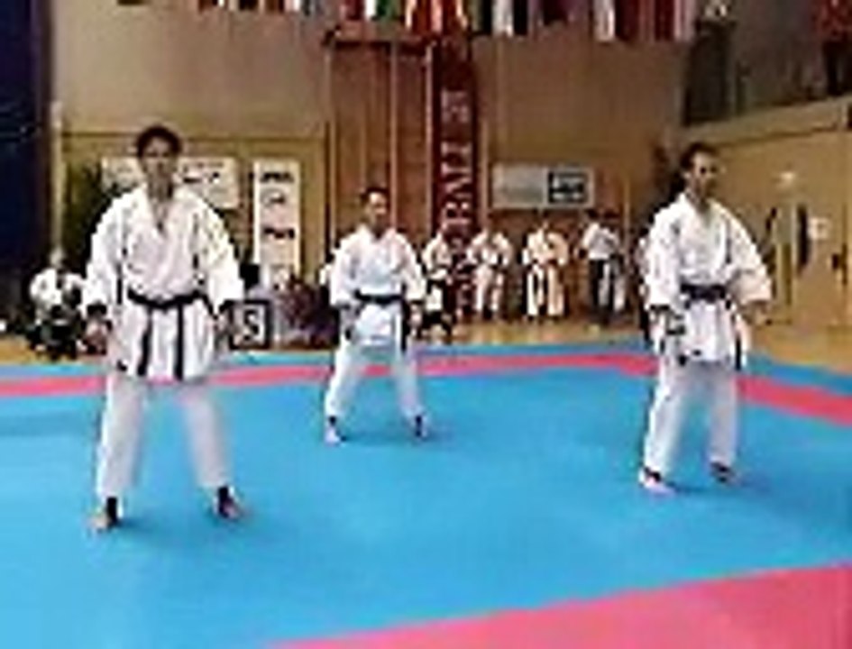 kanku sho team + bunkai