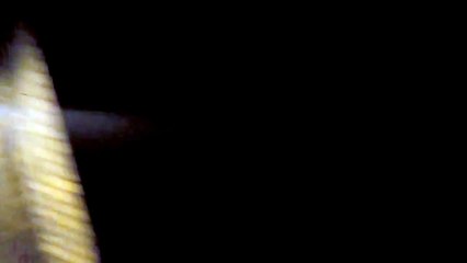 Rotter i AAB. Afd. 8 & afd. 24 København NV