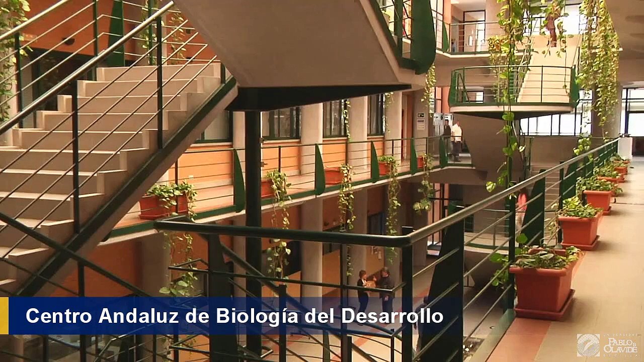 CABD