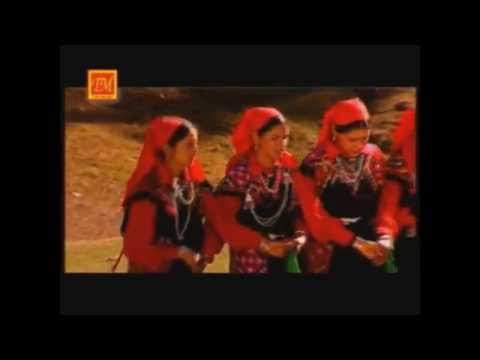 Aesi Dhini Palki | Himachali Folk Full HD Video | Dharmendra Sharma | TM Music | Himachali Hits